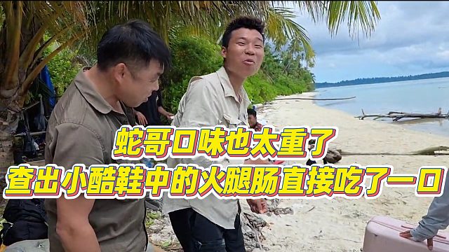 【小小小酷哥】蛇哥口味也太重了，查出小酷鞋中的火腿肠直接吃了一口