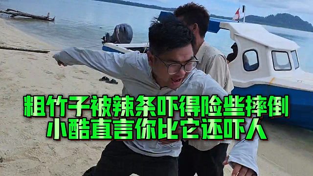 粗竹子被辣条吓得险些摔倒，小酷直言你比它还吓人
