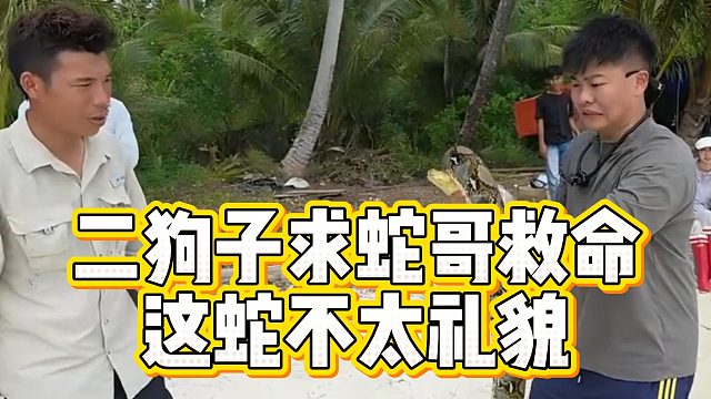 二狗子求蛇哥救命，这蛇不太礼貌
