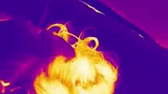 手机热成像新用法，“折磨我一晚上，终于找到你了”​