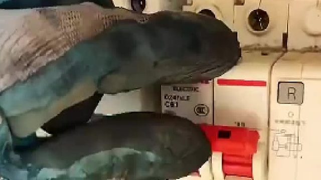 所以正确的电工合闸方式应该是什么​