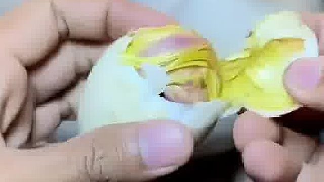 母鸭始终没能孵出小鸭，男子便人工帮忙把蛋壳打开