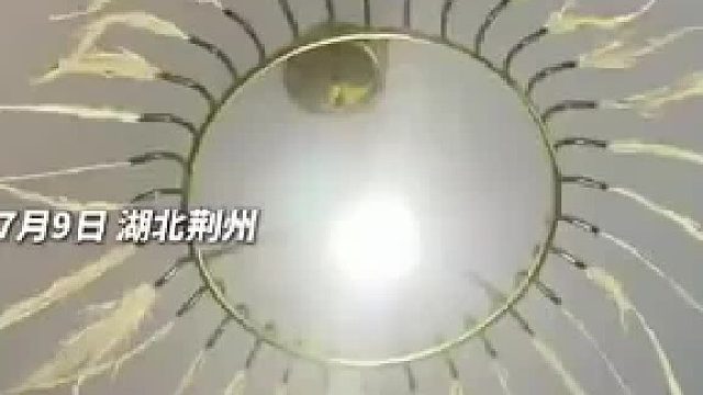 水洗了家里的羽毛灯，结果“白凤凰”变成“落汤鸡”。