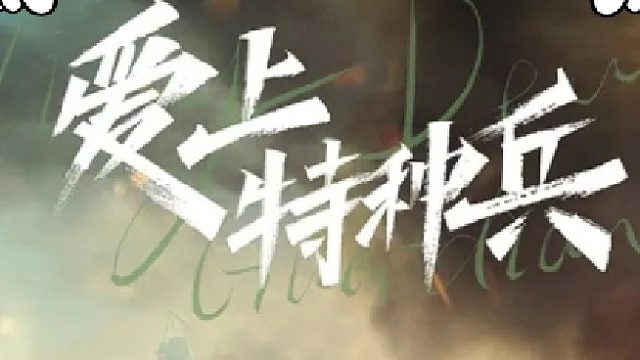 爱上特种兵