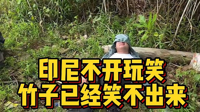 印尼不开玩笑，竹子已经笑不出来