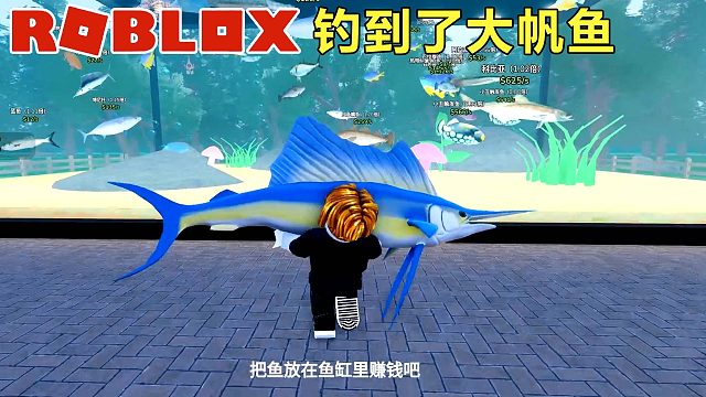 Roblox：水族馆的鱼多了起来，钓到了蓝色大帆鱼