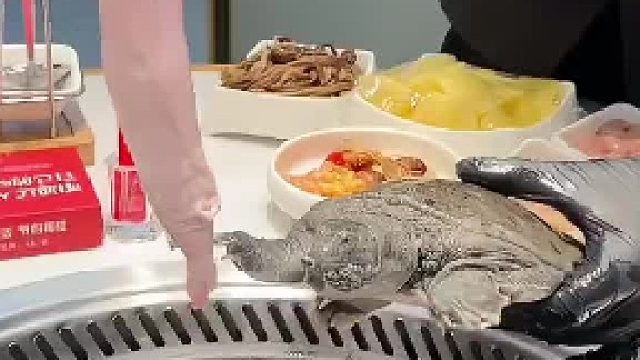 甲鱼：吓死我了，拉了一裤兜