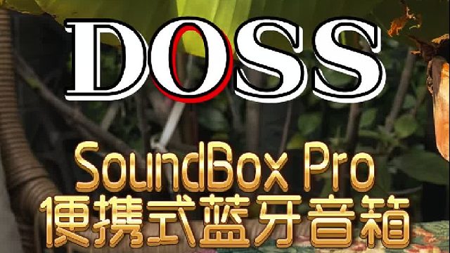 DOSS便携式蓝牙音箱推荐
