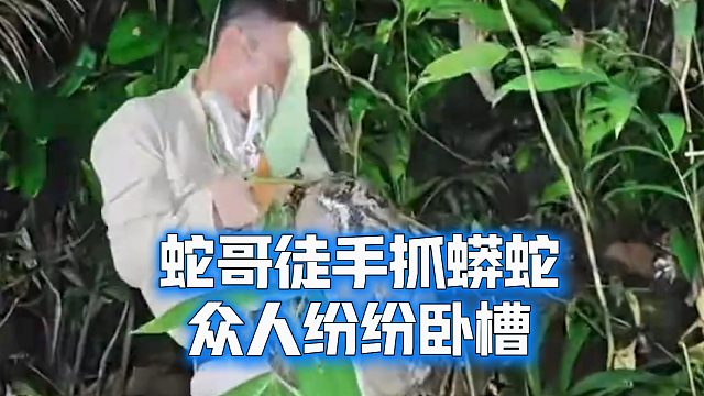蛇哥徒手抓蟒蛇，众人纷纷卧槽