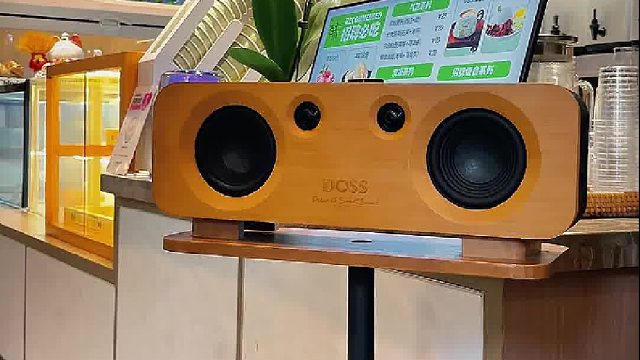 独处时光，音乐为伴！DOSS声浪原木音响
