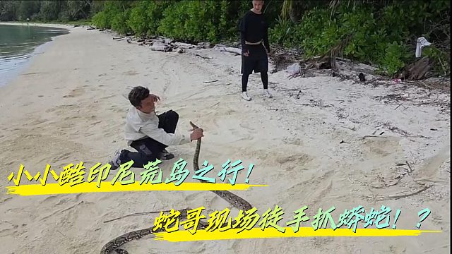 小小酷刚到荒岛蛇哥就上演徒手抓蟒蛇！？