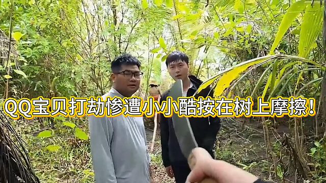 QQ宝贝打劫惨遭小小酷按在树上摩擦！