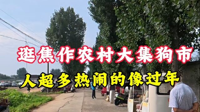 今天逛焦作农村大集狗市！人超多热闹的像过年！狗也比之前多！