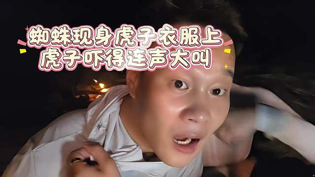 蜘蛛现身虎子衣服上，虎子吓得连声大叫