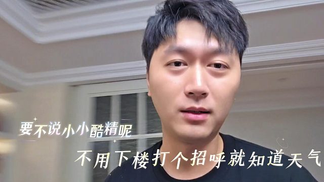 要不说小小酷精呢，不用下楼打个招呼就知道天气