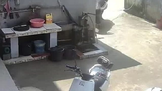 牛跑进自己院子里，女子瞬间反应过来，给牛喂水解渴