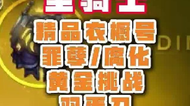 魔兽成品号 圣骑士