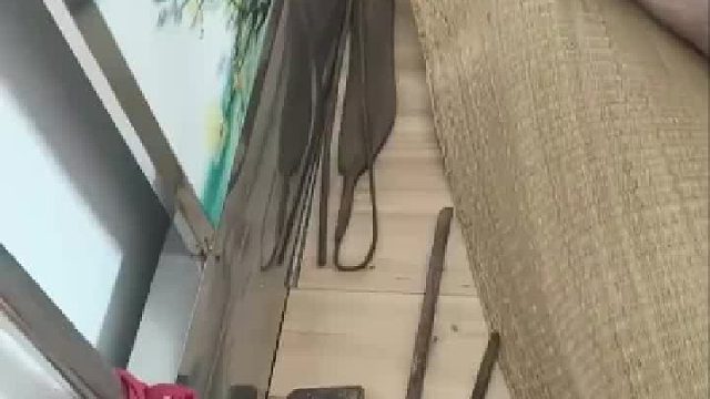 94的婆婆老了后非常胆小，去世后发现床下藏了非常多的武器