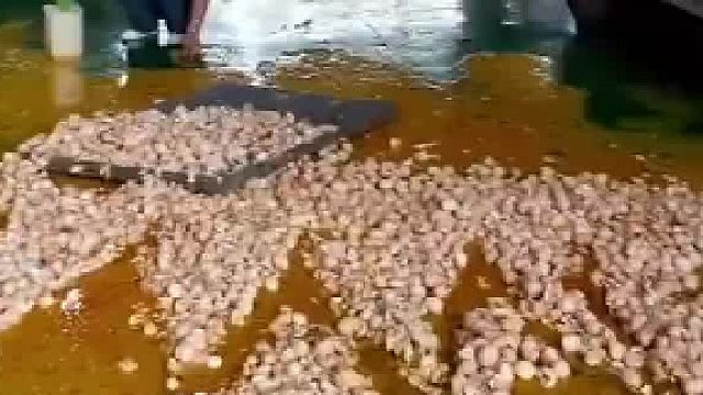 2米多高鸡蛋整摞从货车坠落