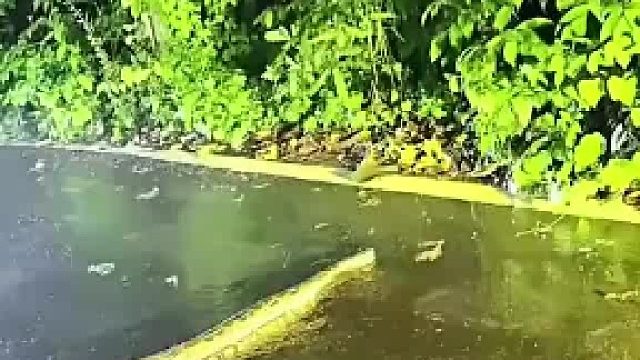 这还能活吗