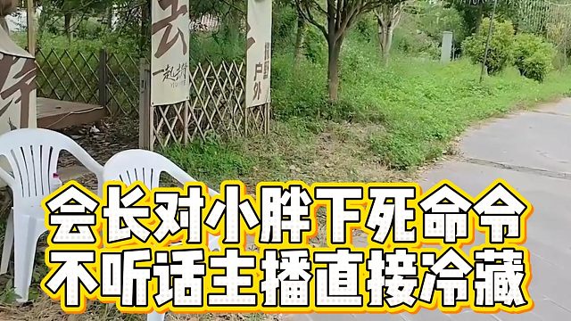 会长对小胖下死命令，不听话主播直接冷藏