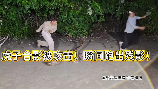 虎子合影被攻击！瞬间跑出残影！