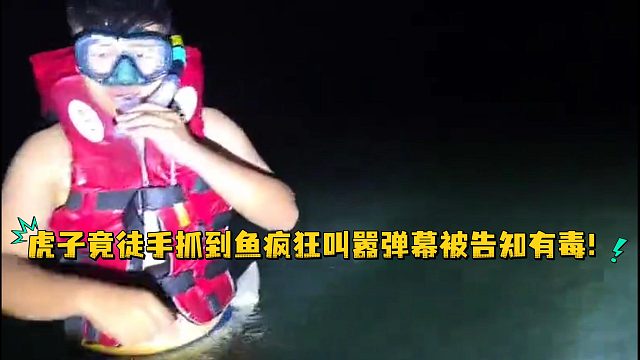 虎子竟徒手抓到鱼疯狂叫嚣弹幕被告知有毒！