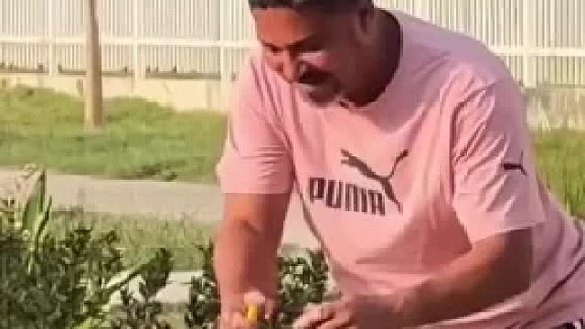 最搞笑最逼真的段子
