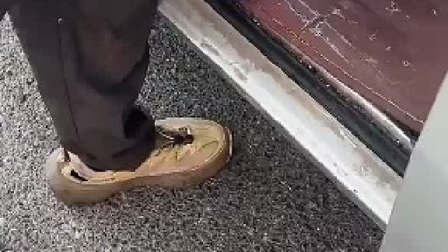 一男子在网上买了牛奶，快递小哥竟然还要把箱子回收，网友：这个蓝色箱子有可能比你东西还贵！！！