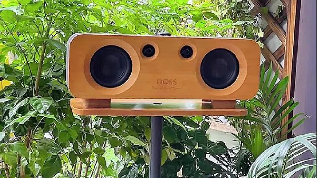 一室一音，取悦自己！DOSS声浪原木音响