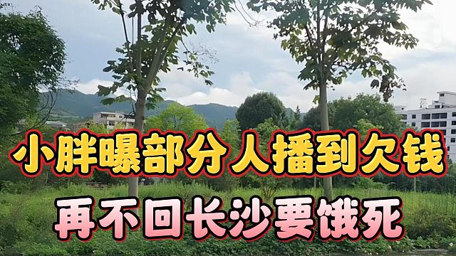 小胖曝部分人播到欠钱，再不回长沙要饿死