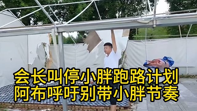 会长叫停小胖跑路计划，阿布呼吁别带小胖节奏