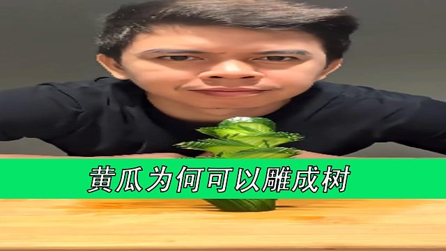 黄瓜为何可以雕成树