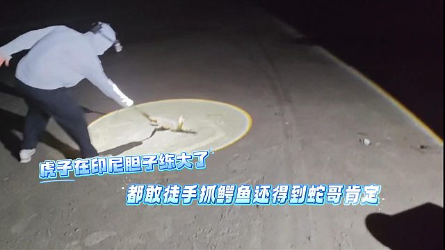 虎子在印尼胆子练大了，都敢徒手抓鳄鱼还得到蛇哥肯定