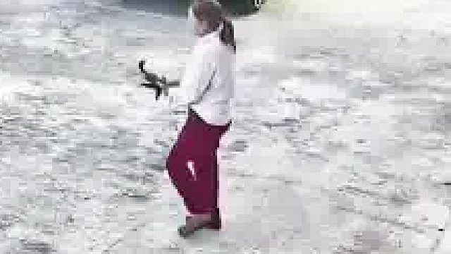 孩子先去招惹猫咪，猫咪受惊跑开，老人直接扔来一把镰刀打砸，猫咪受伤
