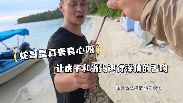 蛇哥是真丧良心呀，让虎子和蜥蜴进行深情的舌吻