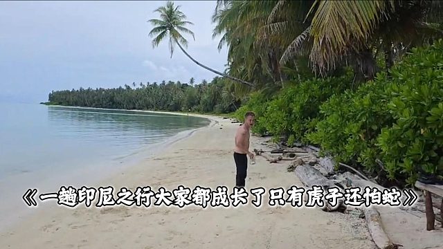 一趟印尼之行大家都成长了只有虎子还怕蛇