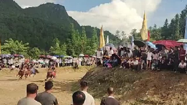 众人超出观赛区 观看赛马比赛时，结果女子直接被一匹马撞了出去