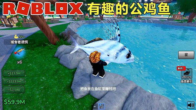Roblox：钓到有趣的公鸡鱼，鱼缸满了买掉很多小鱼