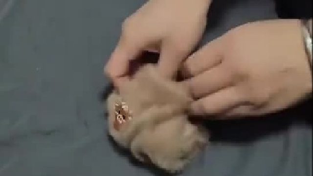 夫妻两人比叠袜子速度，看到妻子的方法顿时悟了