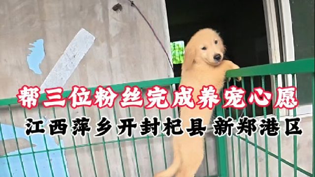 帮粉丝完成养宠心愿，靠谱人做靠谱事儿！解决新手养狗后顾之忧！