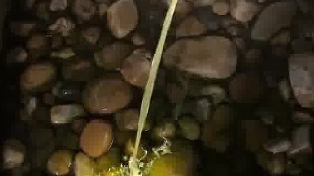 光线居然会随着水流“拐弯”