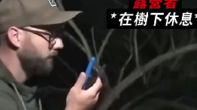 露营遭遇惊险袭击