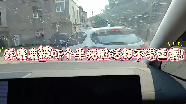 乔鹿鹿被吓个半死脏话都不带重复！