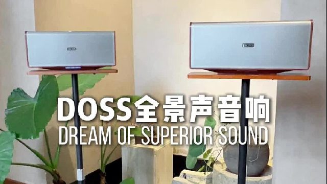 家的氛围感，是一套好音响给的