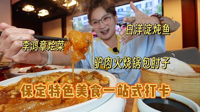 【逛吃保定】驴肉火烧鱼香肉丝李鸿章烩菜白洋淀炖鱼！一站式吃全