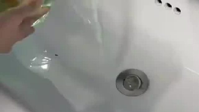 女子给鱼缸换水，结果换完水少了一条鱼
