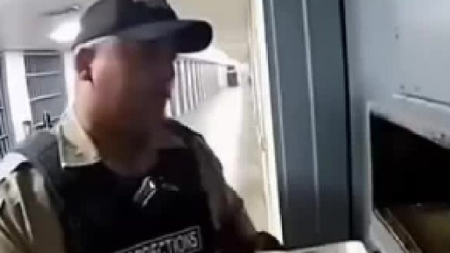 放进去个老虎