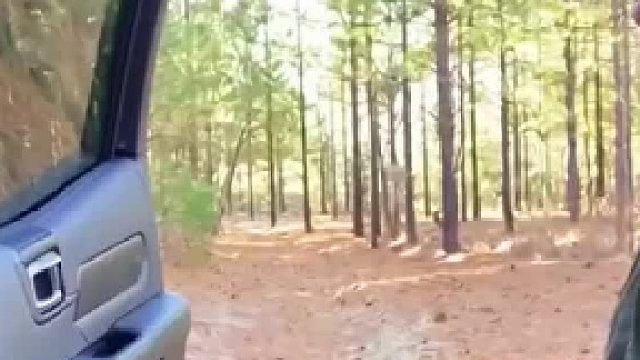 森林探险，吓死爹了！
