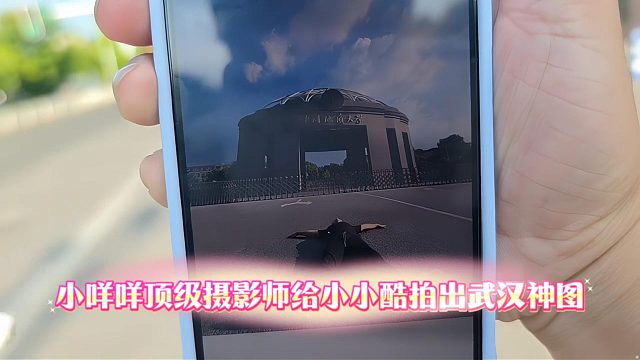 小咩咩顶级摄影师给小小酷拍出武汉神图